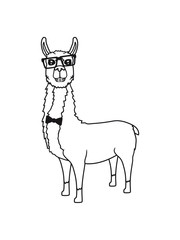 nerd geek freak hornbrille lama kamel alpaka südamerika tier süß niedlich comic cartoon clipart