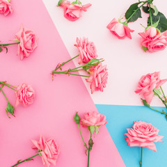 Colorful pastel background with pink roses flowers. Flat lay. Top view