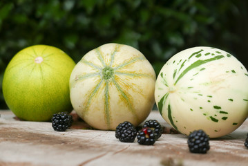 Three different varieties of colorful, patterned melons arranged on a tree stump with five blackberries