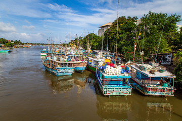 Colombo Sri Lanka Bateau de pêche Coloré Paysage