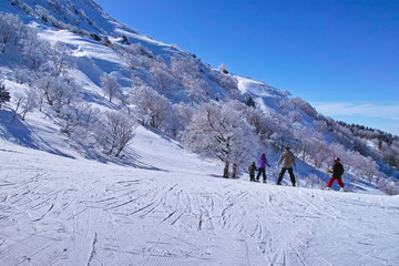 Fototapeta na wymiar ゲレンデを滑走する前のスキーヤー 