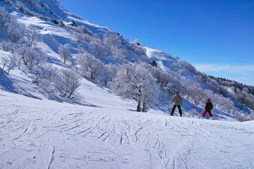 Fototapeta na wymiar ゲレンデを滑走する前のスキーヤー 