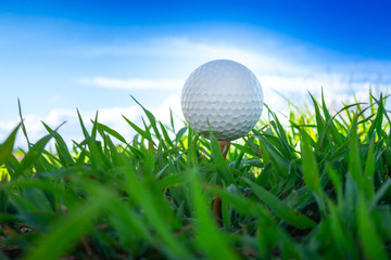 ant view, close up the golf ball on tee pegs ready to play with sky background