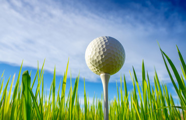 ant view, close up the golf ball on tee pegs ready to play with sky background