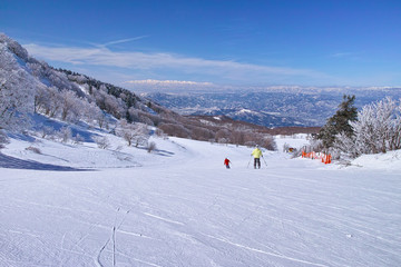 ゲレンデを滑走するスキーヤー
