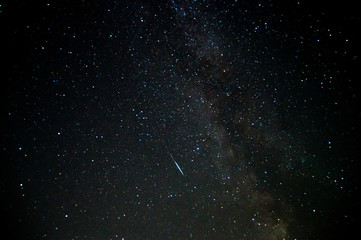 A view of the stars of the Milky Way with a trees in the foreground. Perseid Meteor Shower