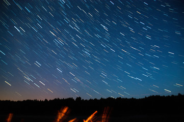A view of the stars of the Milky Way with a trees in the foreground. Perseid Meteor Shower