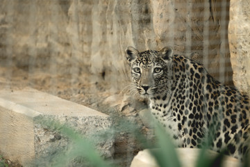 Hiding in the tight spot