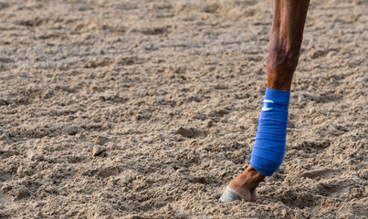 Taped Horse Ankle on Dirt Track