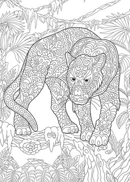 Coloring Page. Coloring Book. Colouring picture with Black Panther. 