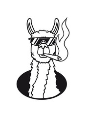 joint rauchen cool sonnenbrille hanf weed drogen kiffer kiffen loch boden kopf gesicht lama kamel alpaka südamerika tier süß niedlich comic cartoon clipart