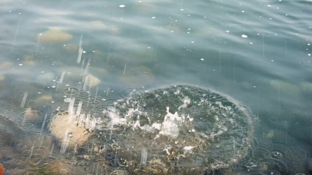 A splash resulting from a rock being thrown into the Bow River