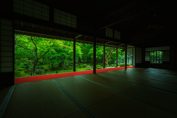 京都　お寺　初夏　緑　日本　和風