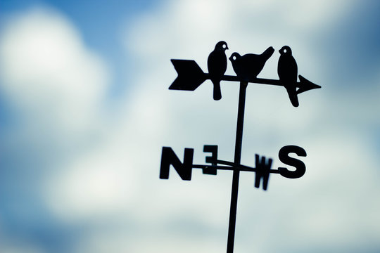 Bird Weather Vane Pointing South