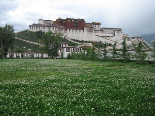 Potala Palace in Lhasa back in 2008