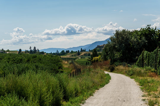 Kettle Valley Railway biking trail through orchards in summer near Penticton British Columbia Canada.