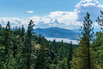 Green forest and Okanagan lake at summer day with clouds on the sky.