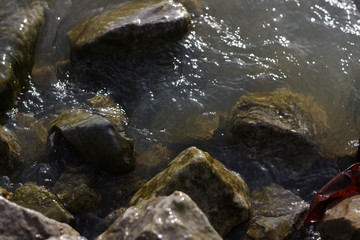 Rocks emerging from the lake 1