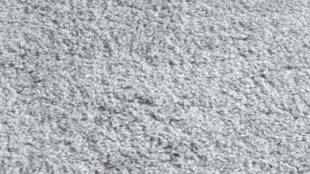 White carpet background