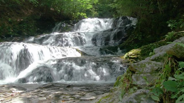 長野県軽井沢 初夏の魚止めの滝