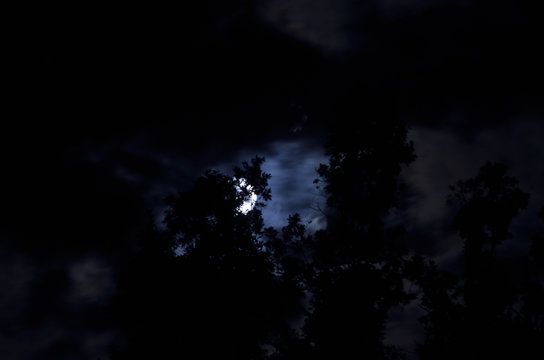 Notturni lunari