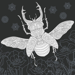 Stag beetle coloring book page