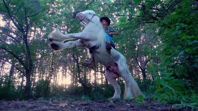 Young girl in cowboy hat riding a white horse. The stallion rises to his hind legs.