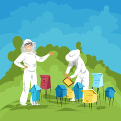 Fototapeta premium beekeepers in the apiary. employees of the apiary to collect honey