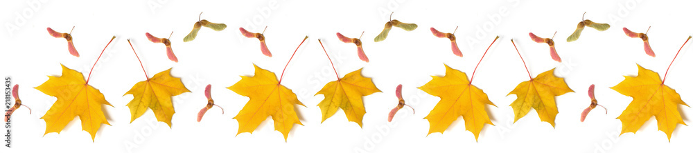 Canvas Prints pattern fall maple leaf autumn white background