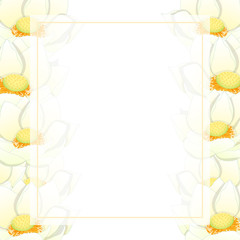 Obraz premium White Indian lotus Banner Card Border
