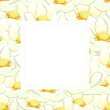 White Indian lotus Banner Card