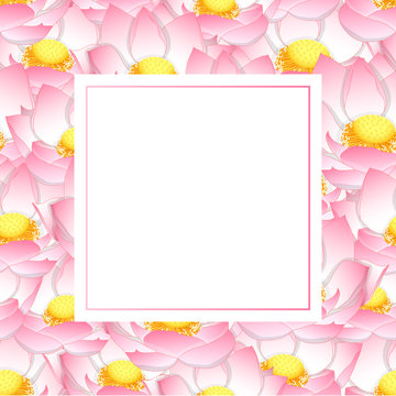 Pink Indian lotus Banner Card