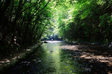 Obraz premium 岳切渓谷