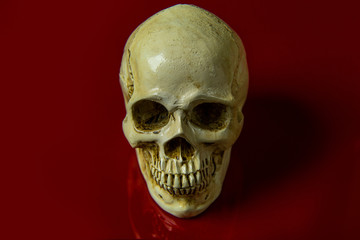The skull on red background glossy abstract image.