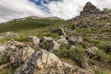 Top of Mountain in Denali Alaska