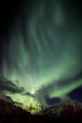 Fototapeta na wymiar Aurora in Alaska