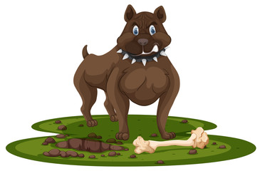 A pitbull and bone