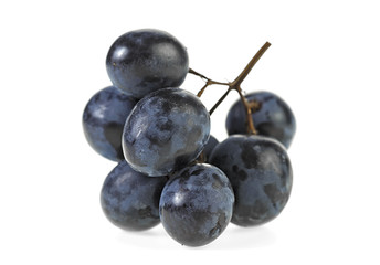 Blue grape isolated on a white background