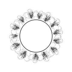 Momo Peach Flower Blossom Banner Wreath Outline