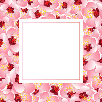 Momo Peach Flower Blossom Banner Card
