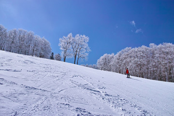 ゲレンデを滑るスノーボーダー