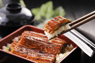 うな重　Unagi Grilled Eel over Rice with Japanese Sauce