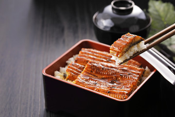 うな重　Unagi Grilled Eel over Rice with Japanese Sauce