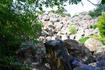 Большая груда камней и зеленые деревья