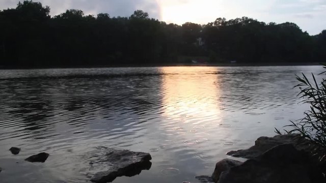 Footage of ducks in a river at sunset.