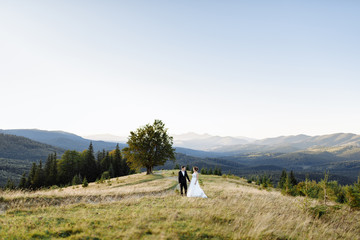 Fototapeta na wymiar Beautiful bride and groom at the mountains