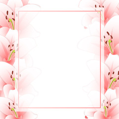 Pink Lily Flower Banner Card Border isolated on White Background
