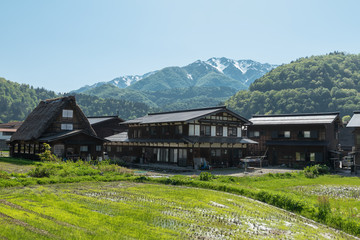 Fototapeta na wymiar Gassho-zukuri houses in Gokayama Village. Gokayama has been insc