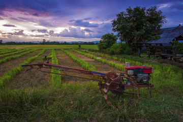 Field landscape with tractor to adjust the farmer's crop in the evening