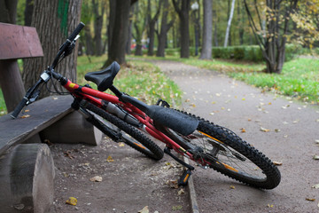 Ride a bike. Autumn bike ride